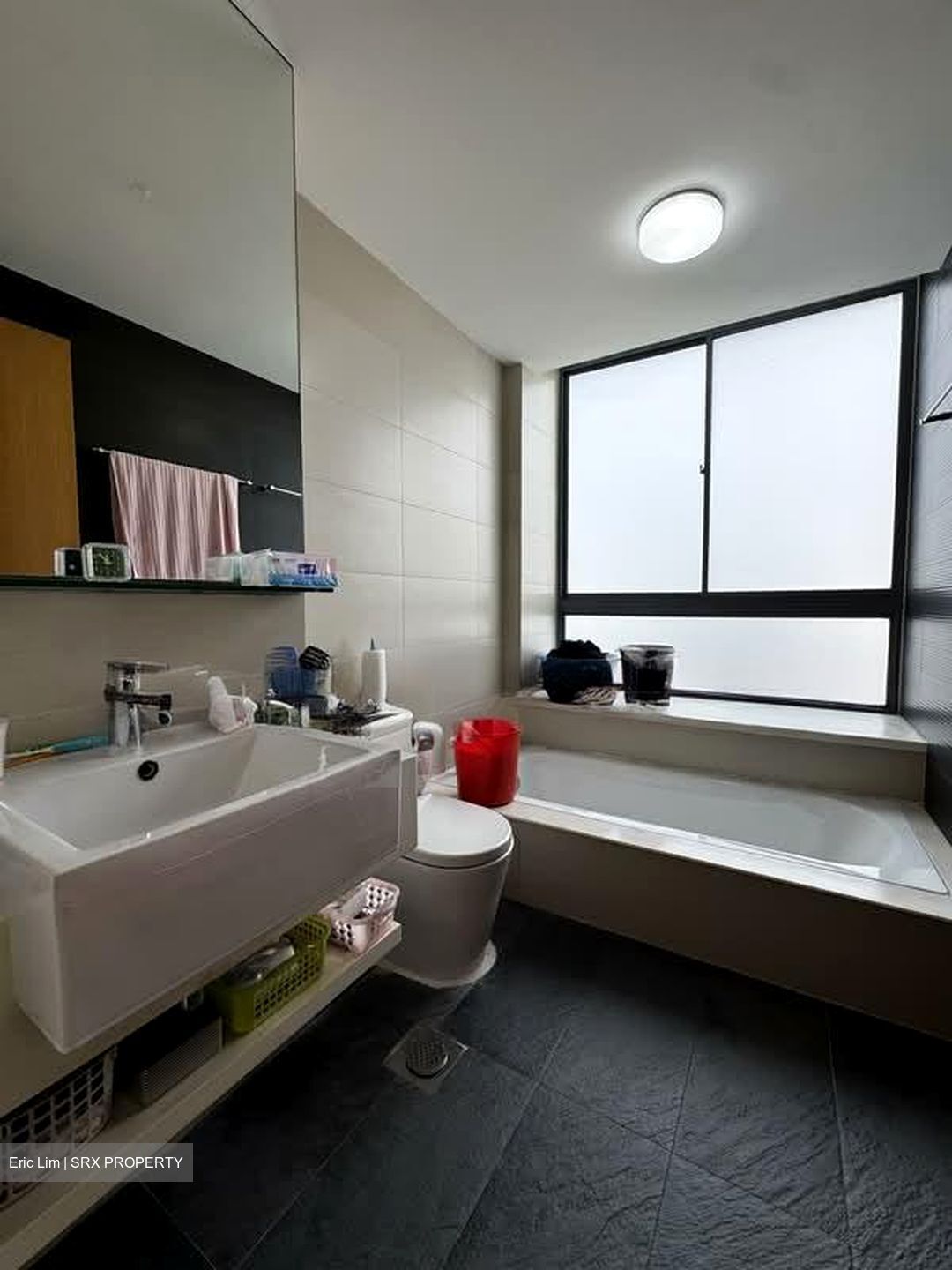 Celestia (D15), Apartment #575357731